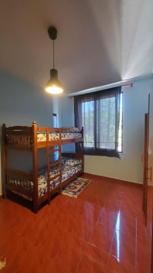 Traveler Hostel Σκόδρα Εξωτερικό φωτογραφία